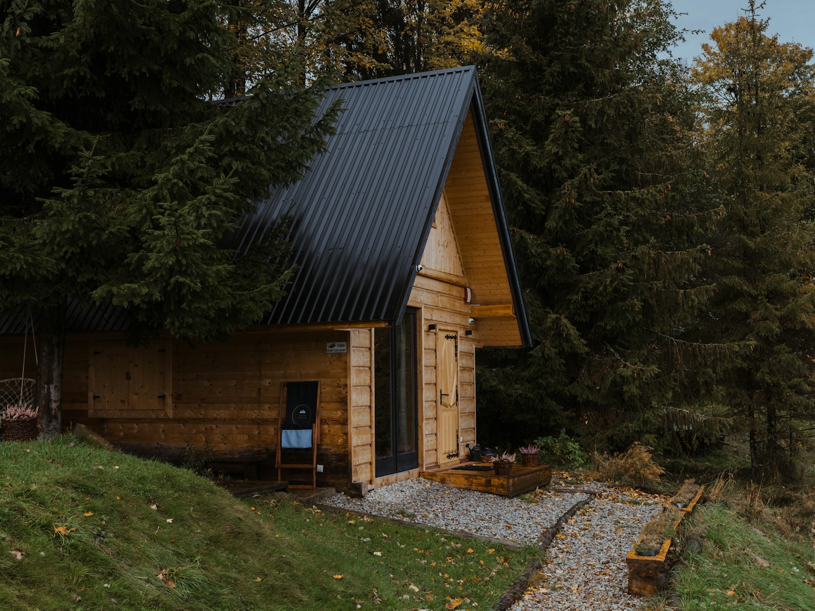 Dark-stained timber house with a standing-seam roof at the edge of a forest